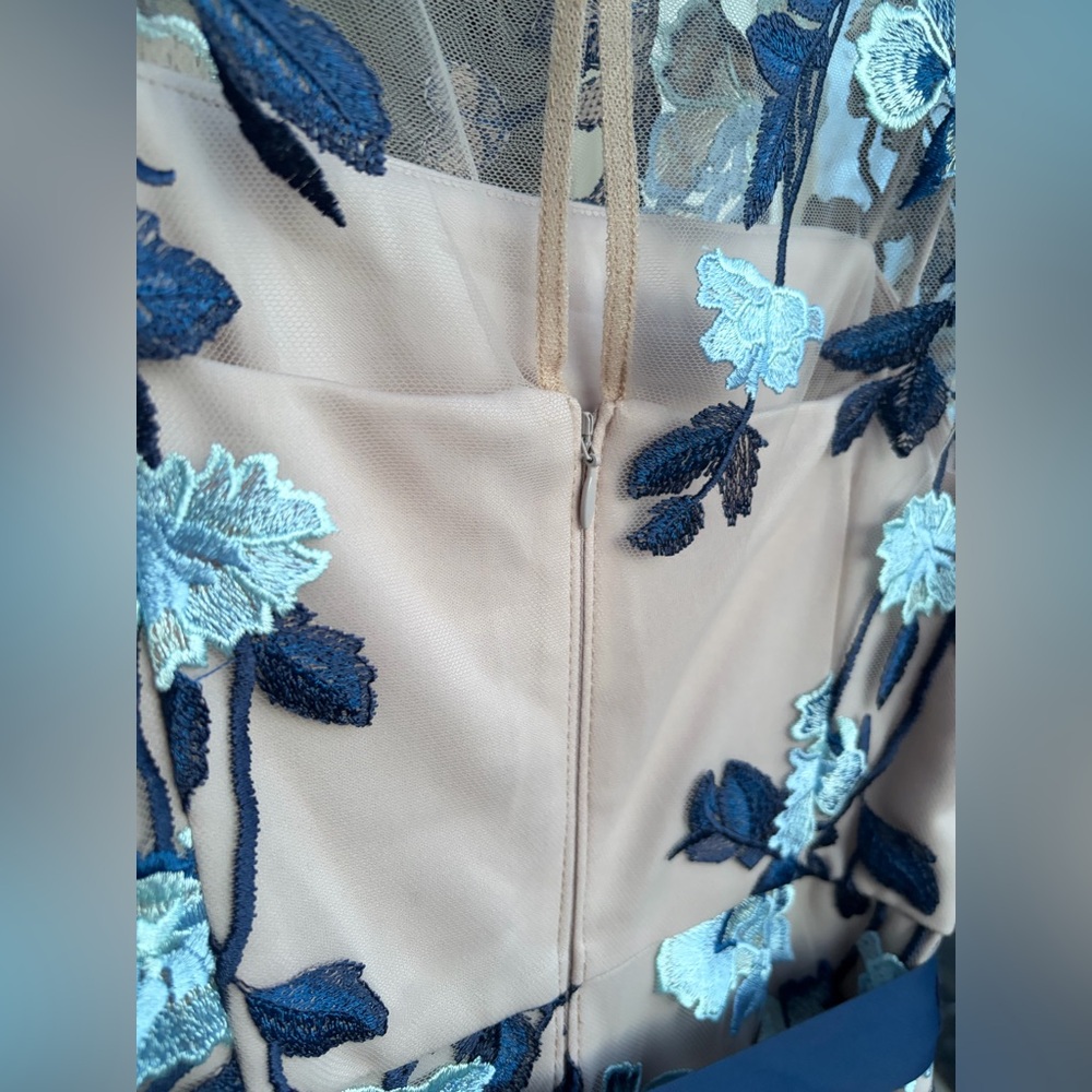 🆕 Adrianna Papell Nude & Blue Embroidered Mesh Gown Floral Column Dress Size 4 - Picture 14 of 17